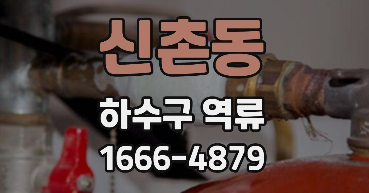 신촌동 하수구 역류