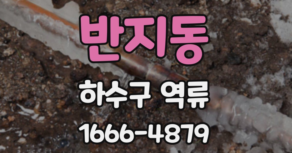 반지동 하수구 역류