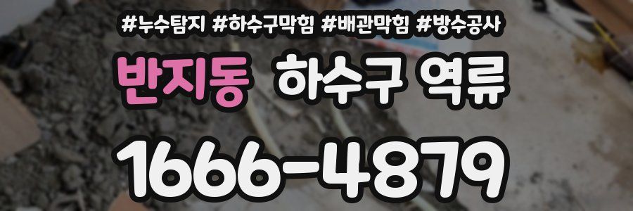 반지동 하수구 역류