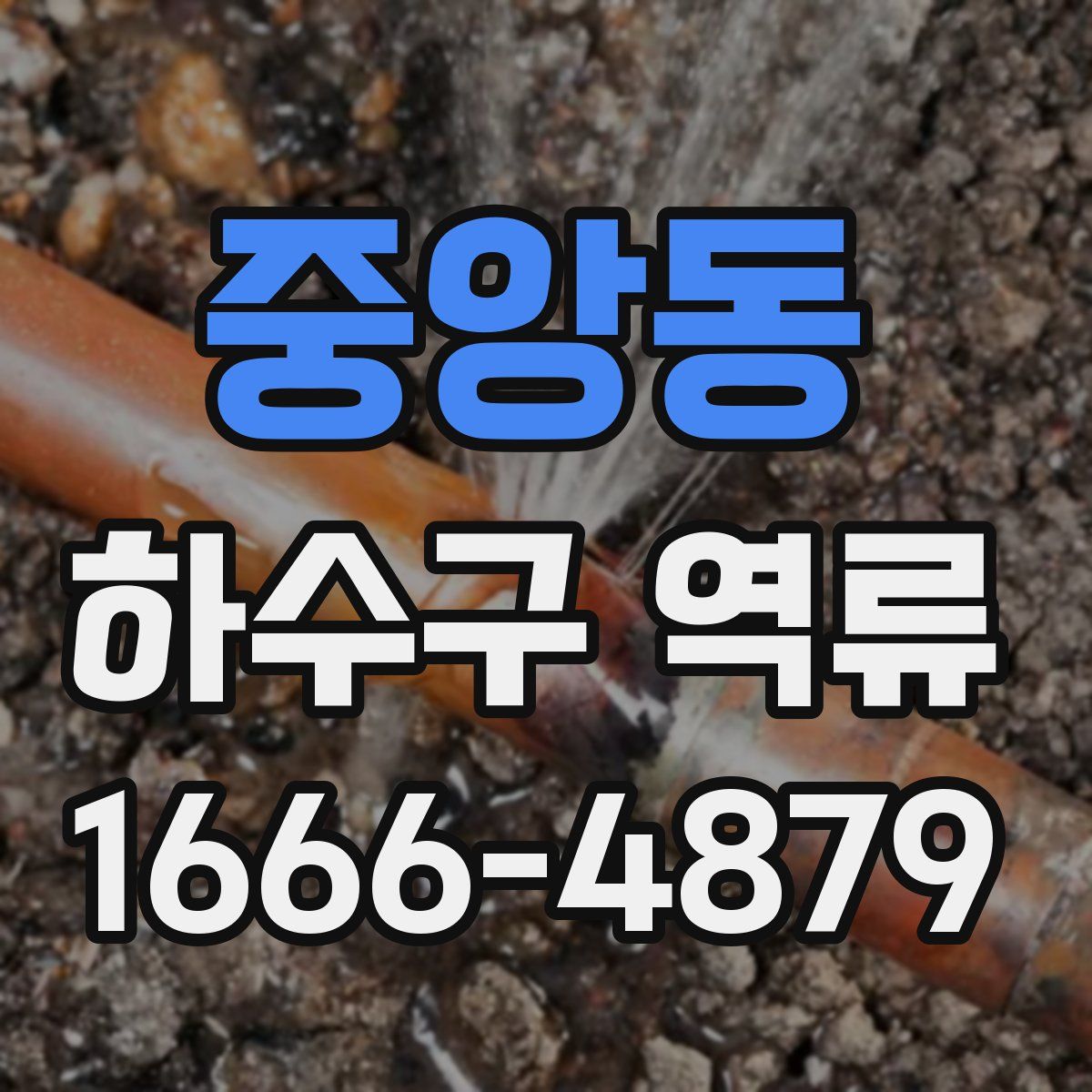 중앙동 하수구 역류
