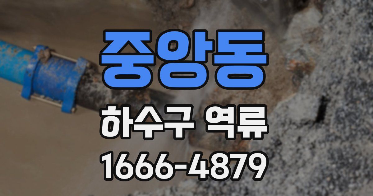중앙동 하수구 역류