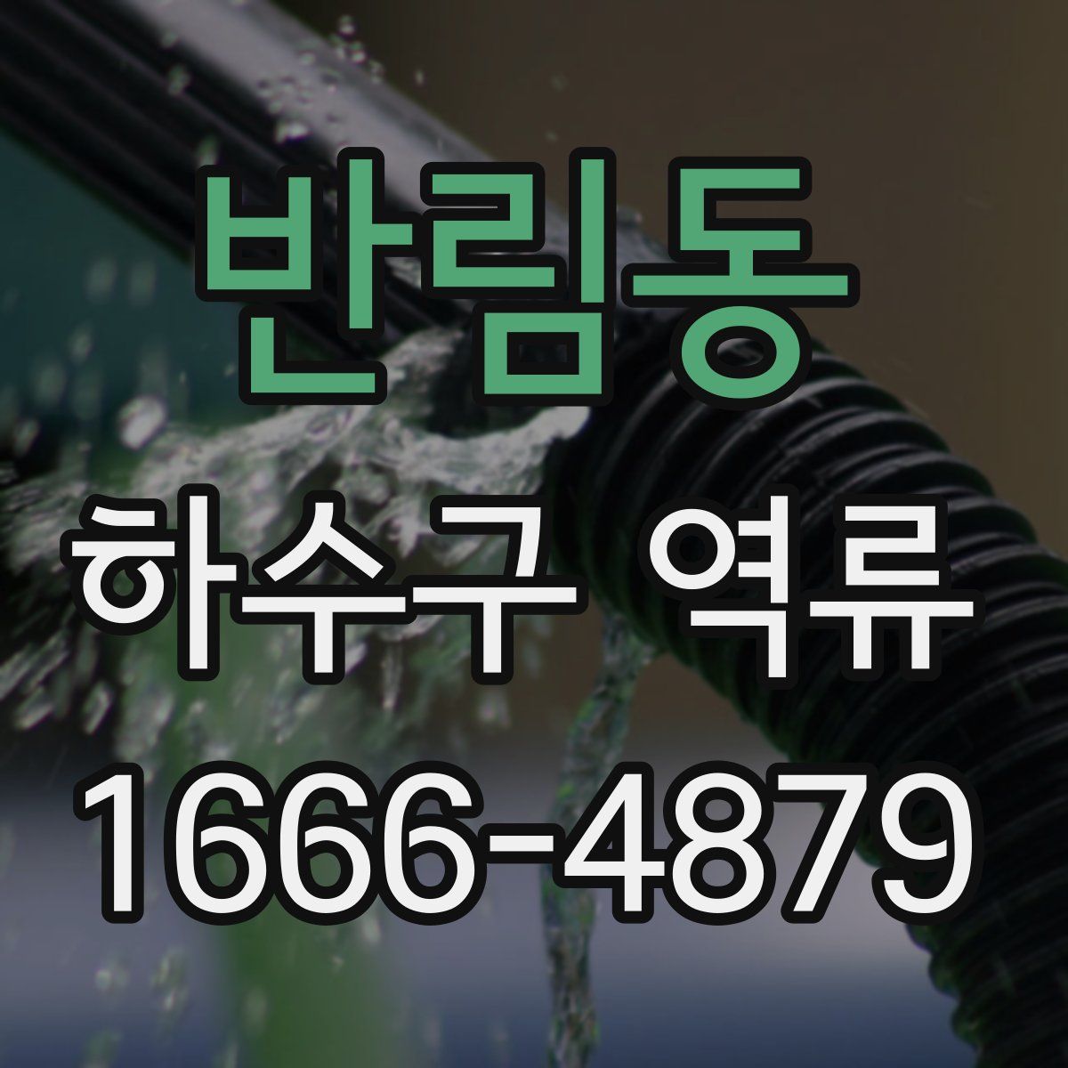 반림동 하수구 역류