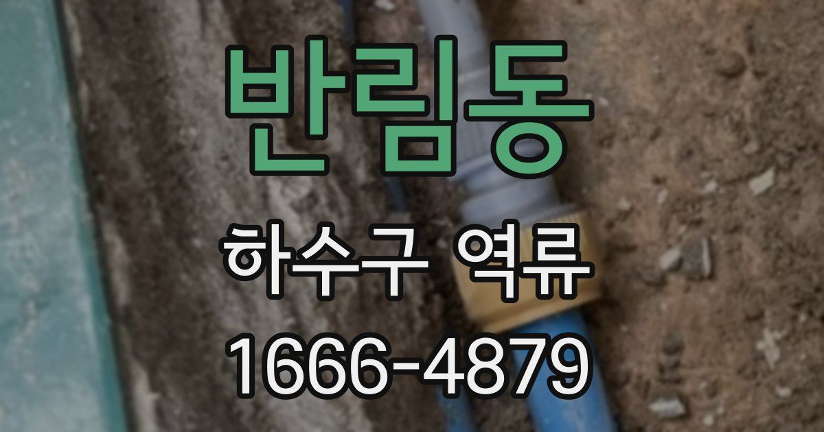 반림동 하수구 역류