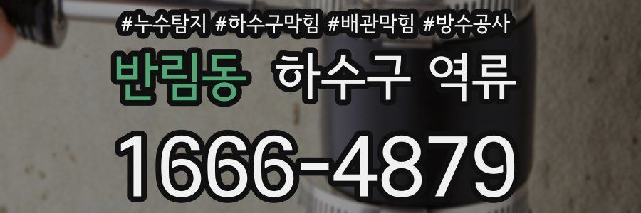 반림동 하수구 역류