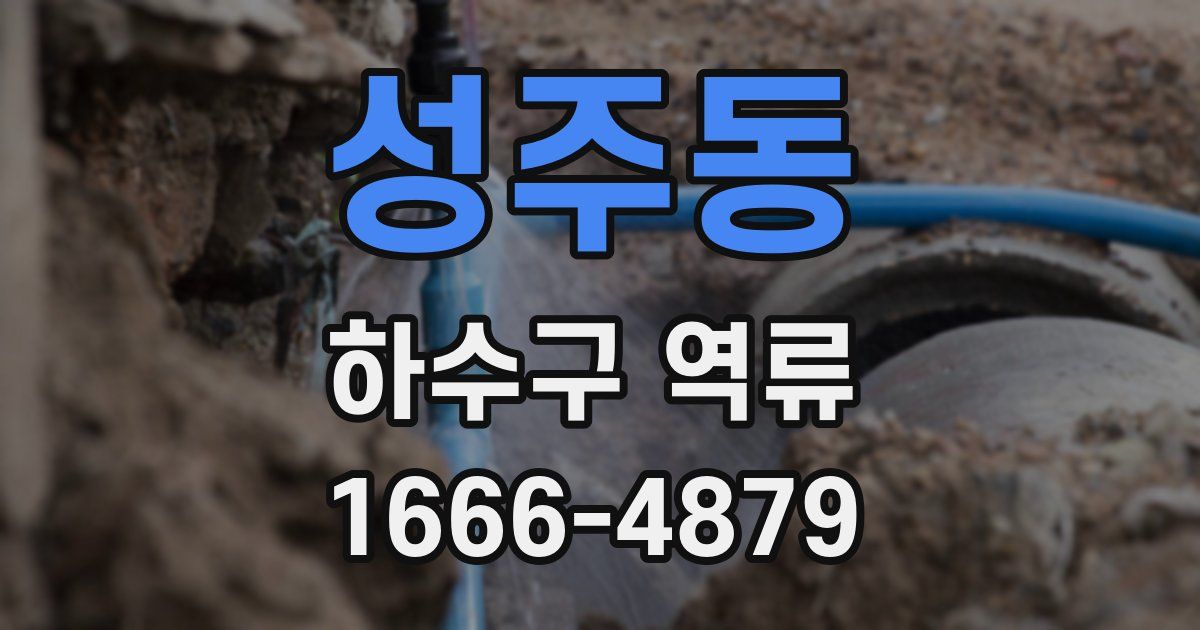 성주동 하수구 역류