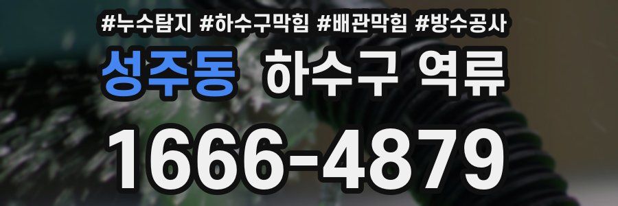 성주동 하수구 역류
