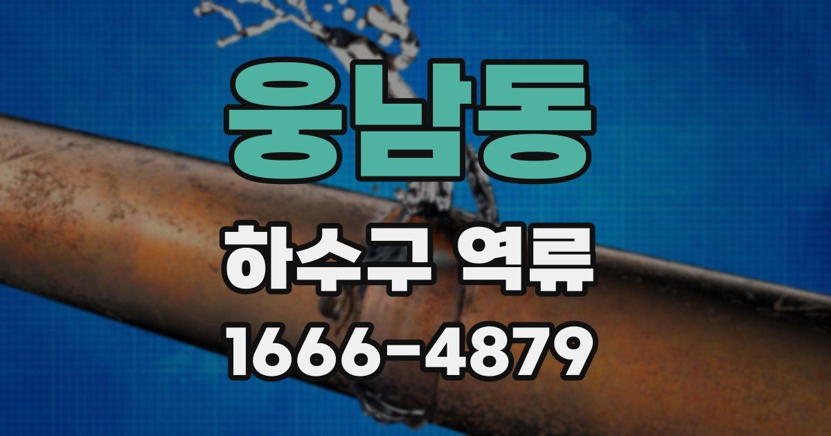 웅남동 하수구 역류