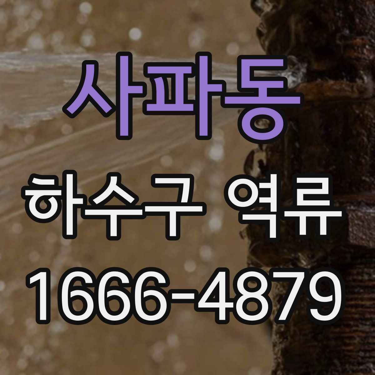 사파동 하수구 역류