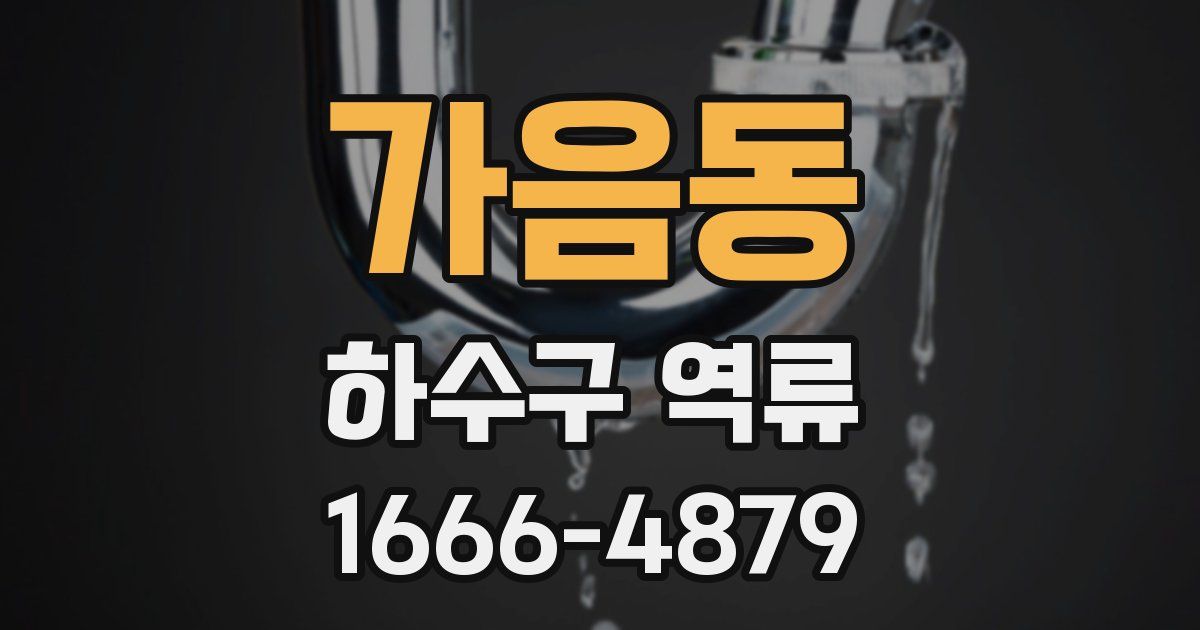 가음동 하수구 역류