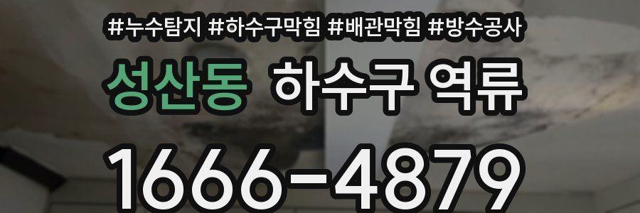 성산동 하수구 역류
