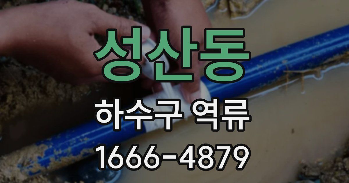 성산동 하수구 역류