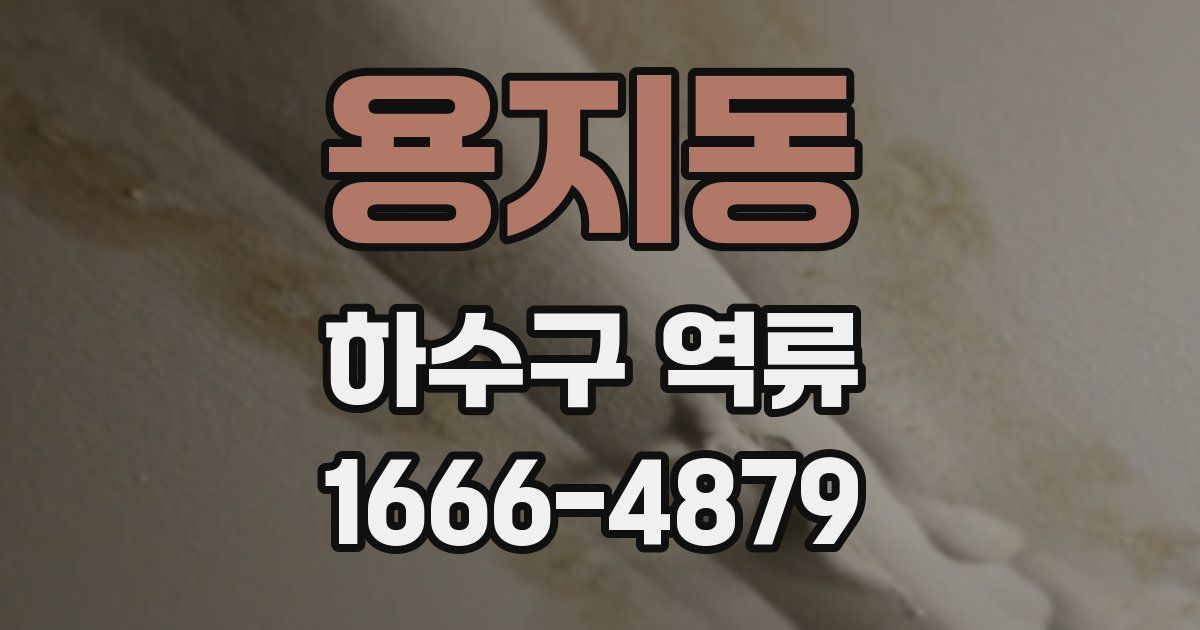 용지동 하수구 역류