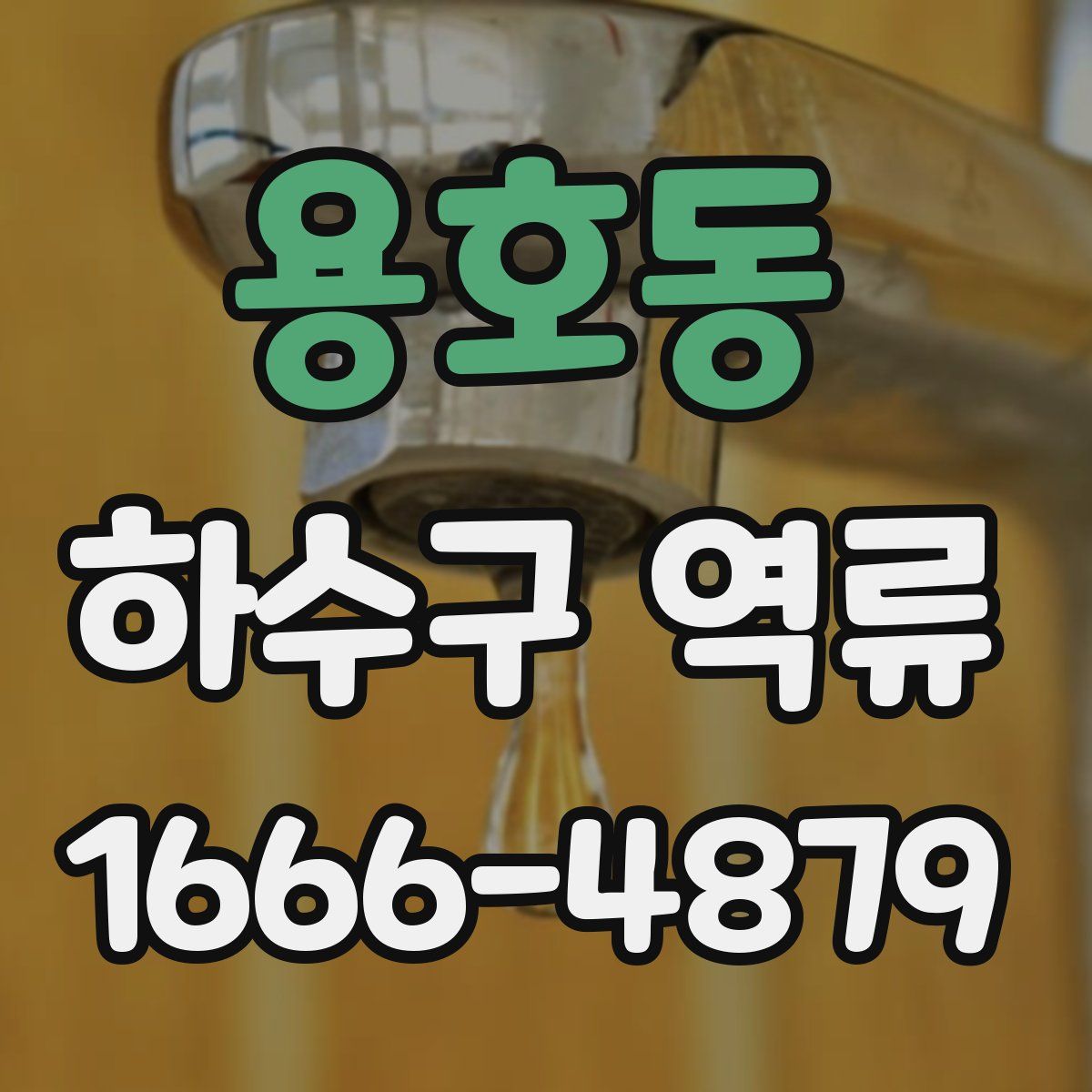 용호동 하수구 역류