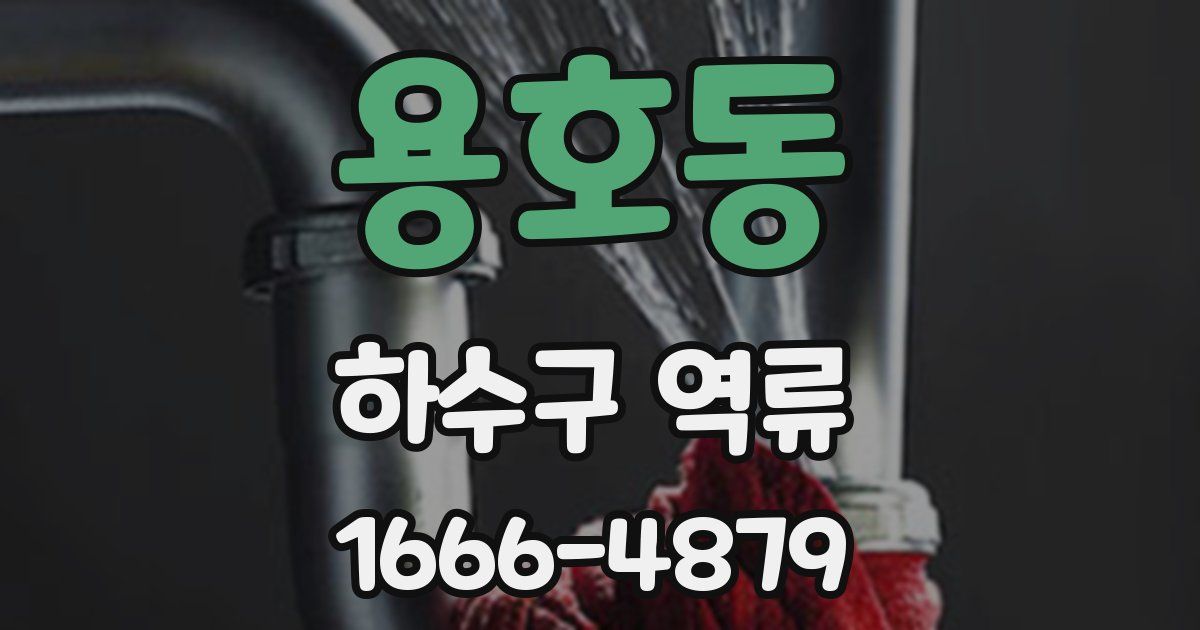 용호동 하수구 역류