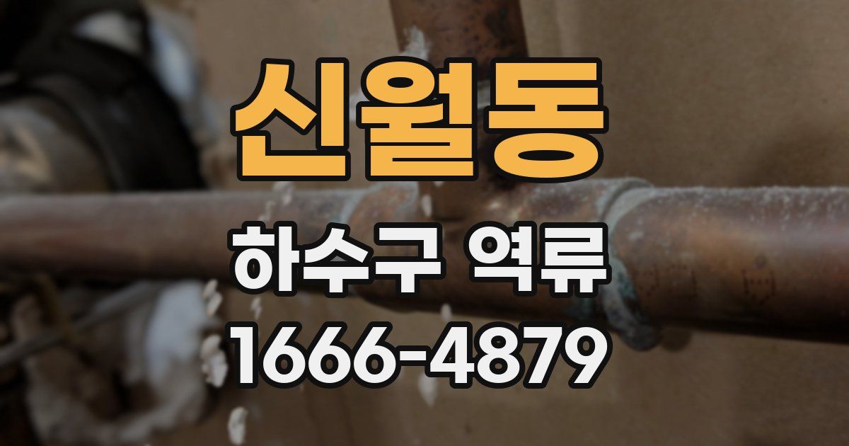신월동 하수구 역류