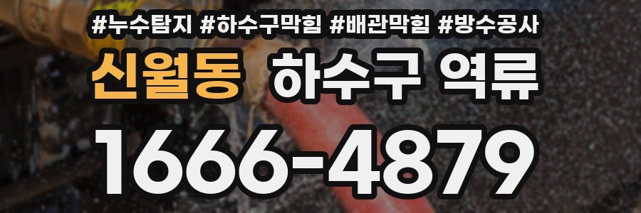 신월동 하수구 역류