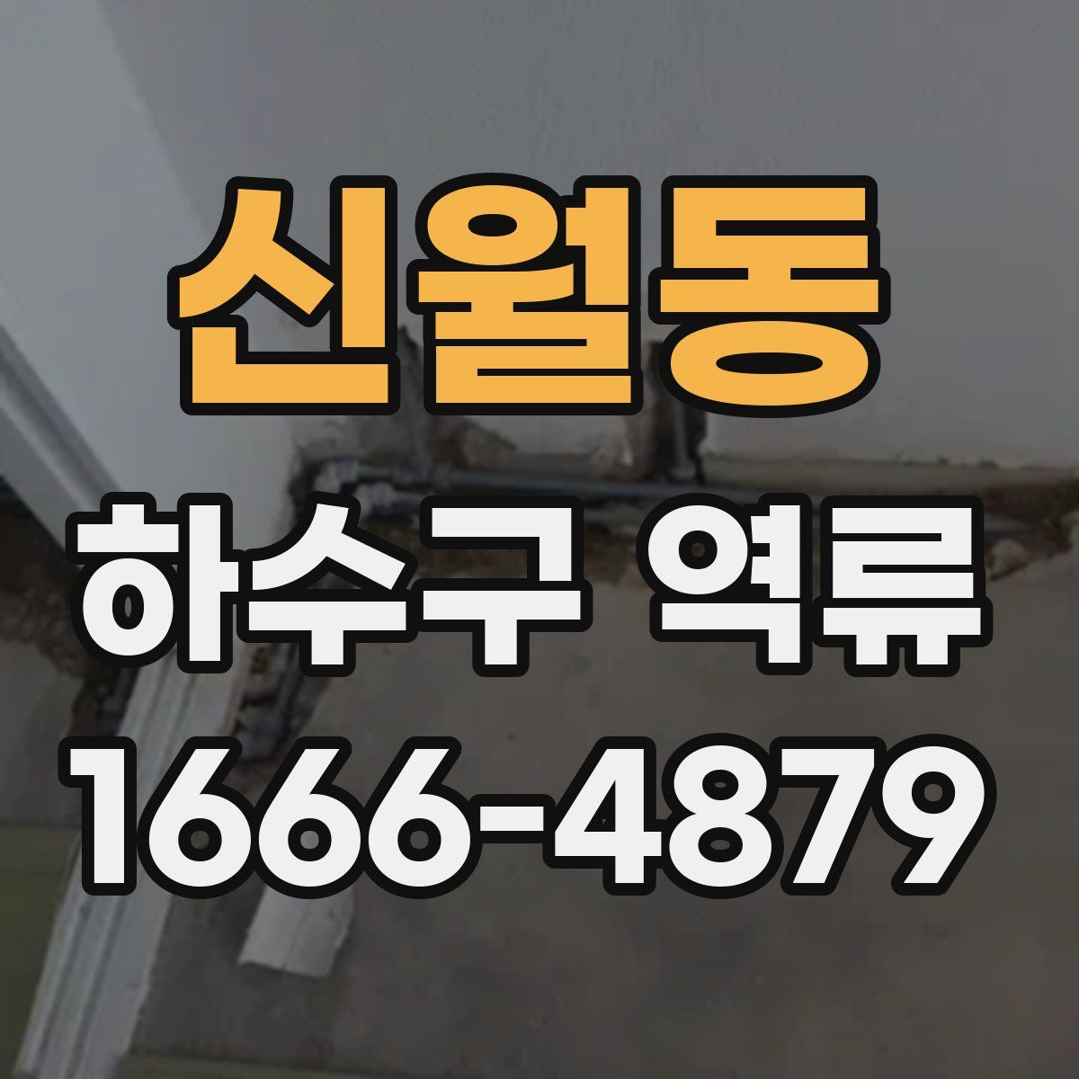 신월동 하수구 역류
