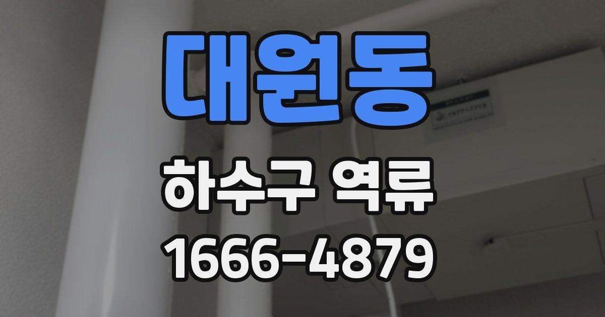 대원동 하수구 역류