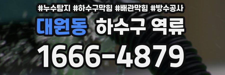 대원동 하수구 역류