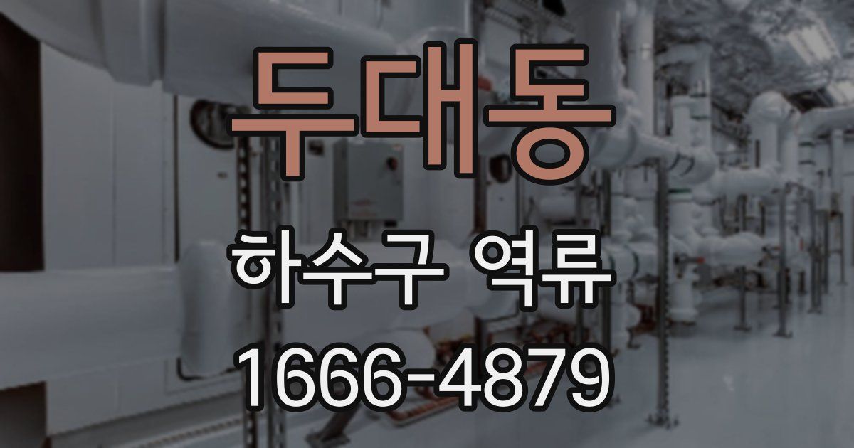 두대동 하수구 역류