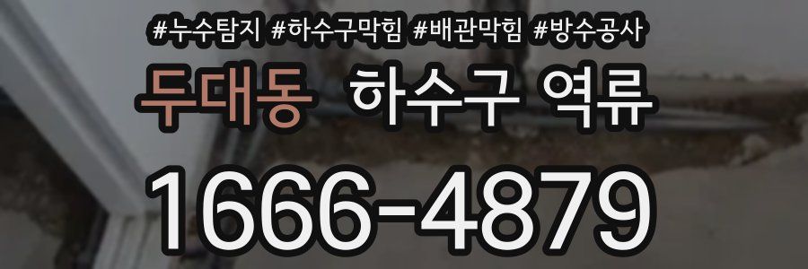 두대동 하수구 역류