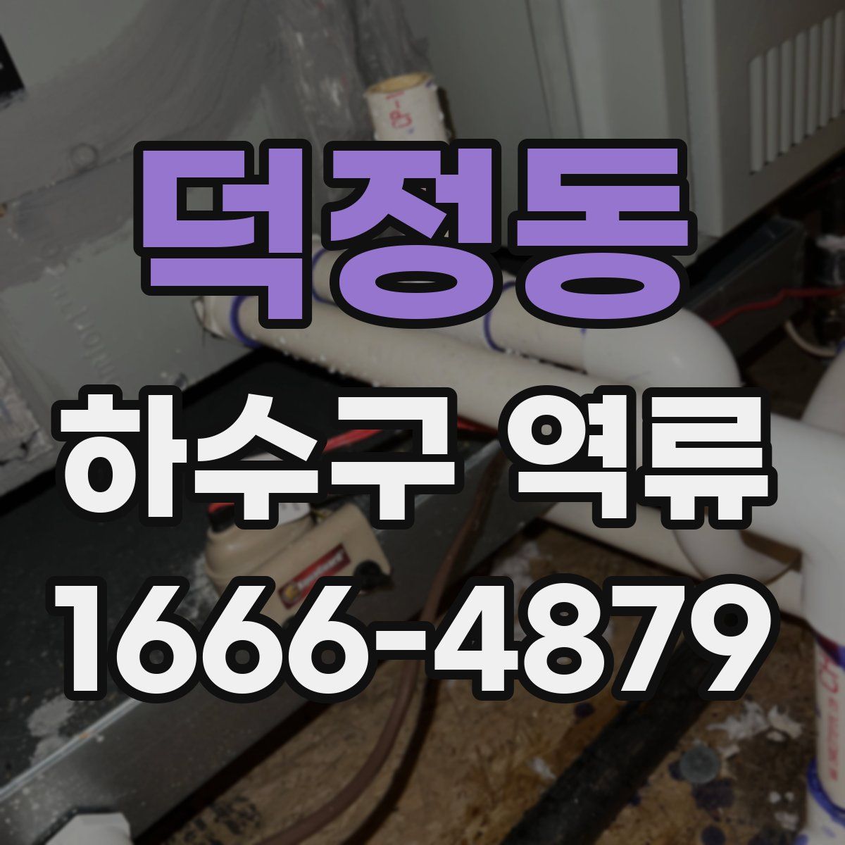 덕정동 하수구 역류