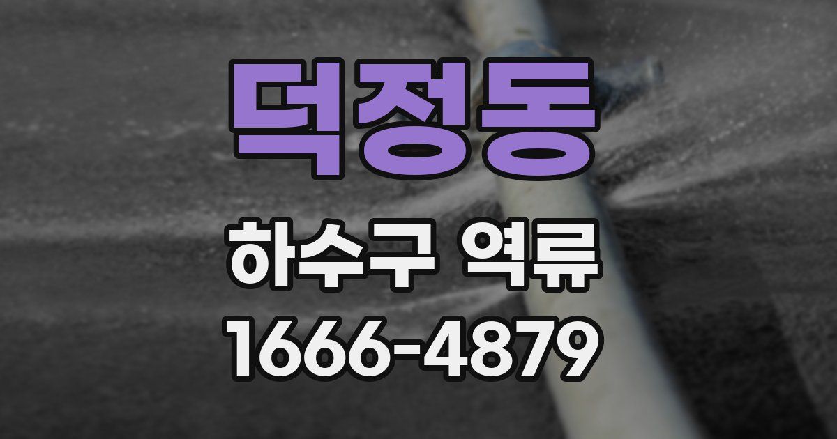 덕정동 하수구 역류