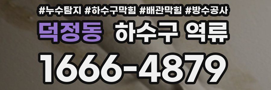 덕정동 하수구 역류