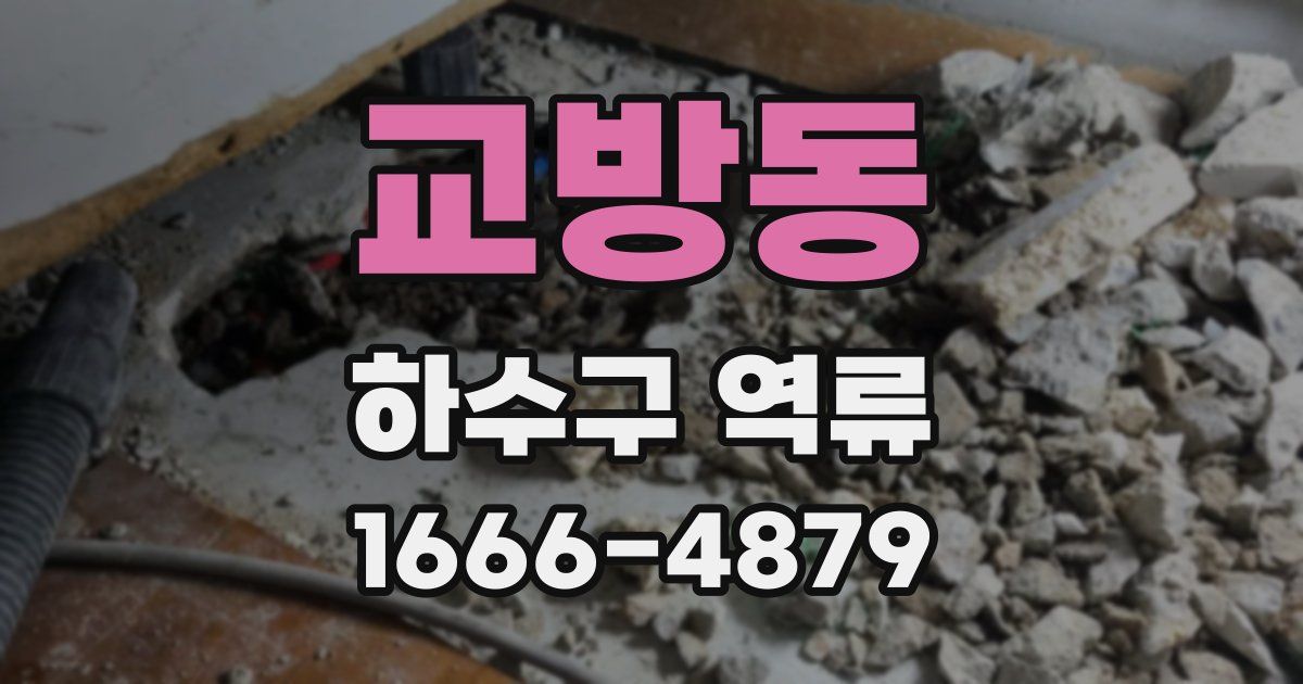 교방동 하수구 역류