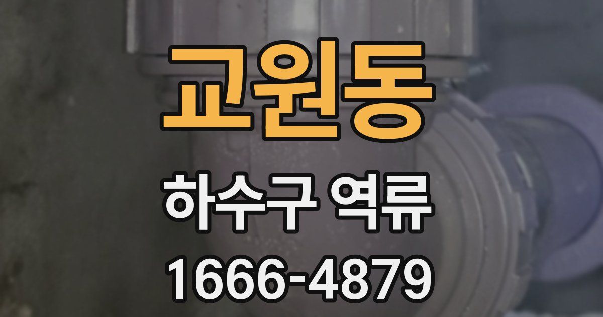 교원동 하수구 역류