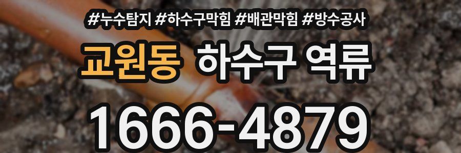 교원동 하수구 역류