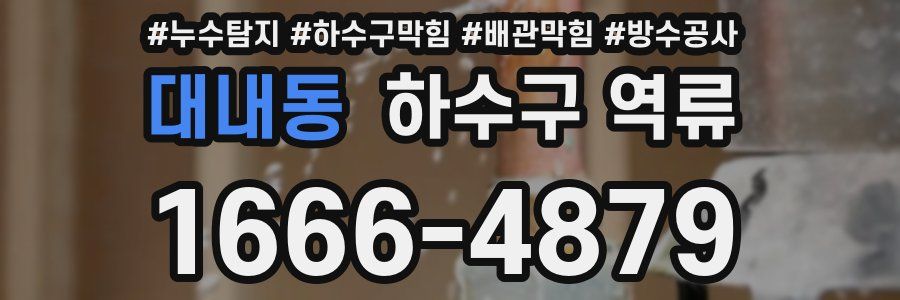 대내동 하수구 역류