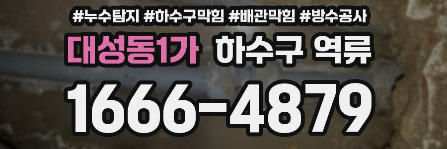 대성동1가 하수구 역류