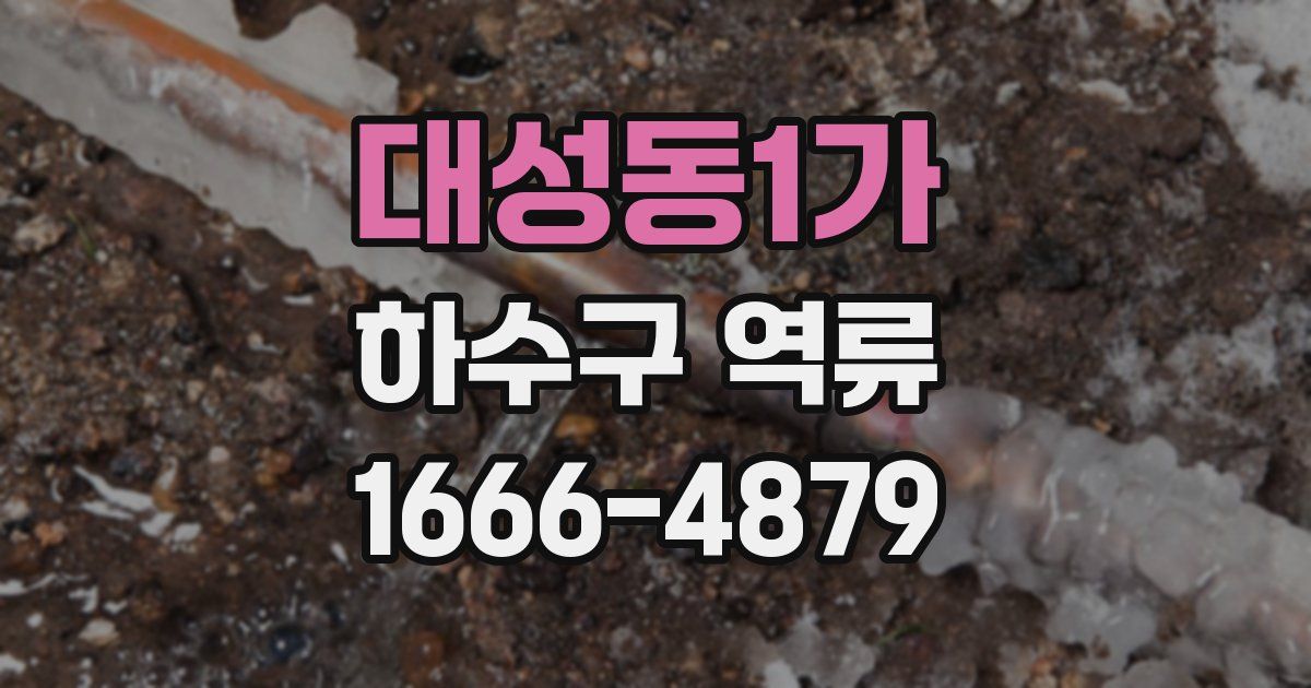 대성동1가 하수구 역류