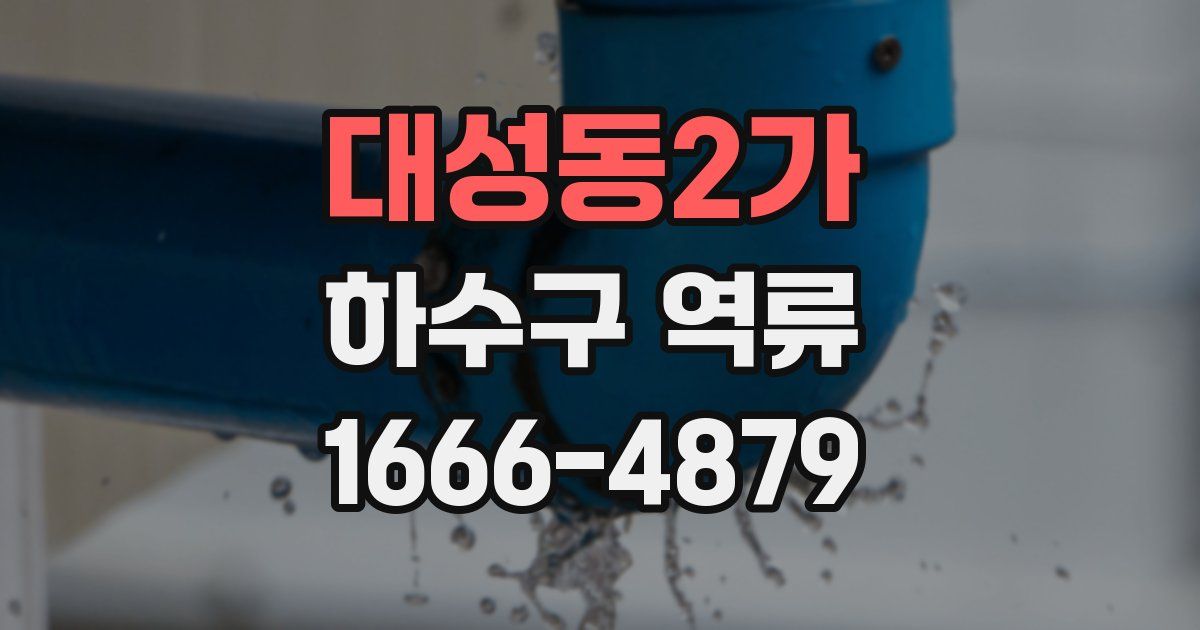 대성동2가 하수구 역류