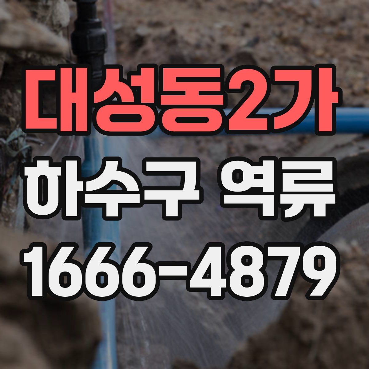 대성동2가 하수구 역류