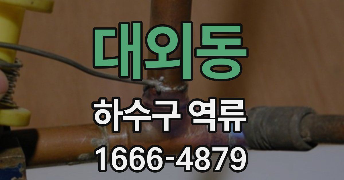 대외동 하수구 역류