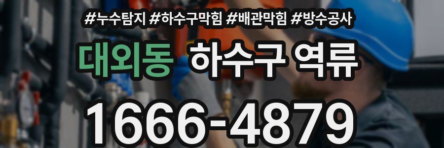 대외동 하수구 역류