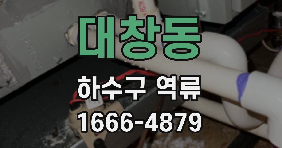 대창동 하수구 역류