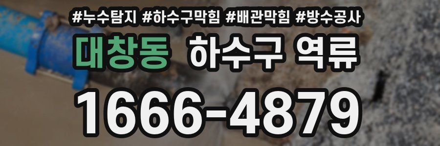 대창동 하수구 역류