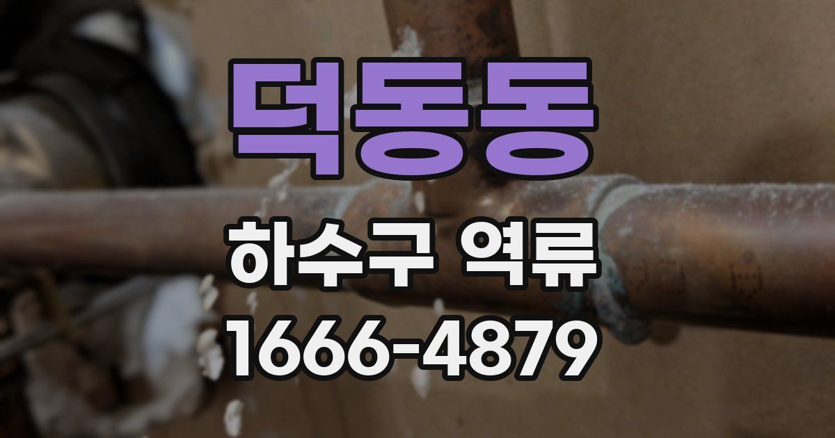 덕동동 하수구 역류