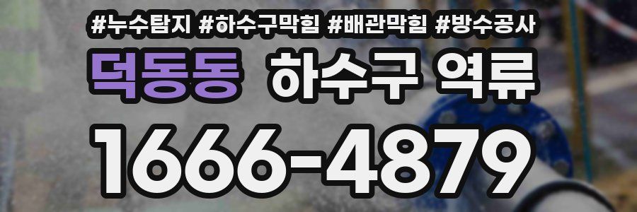덕동동 하수구 역류