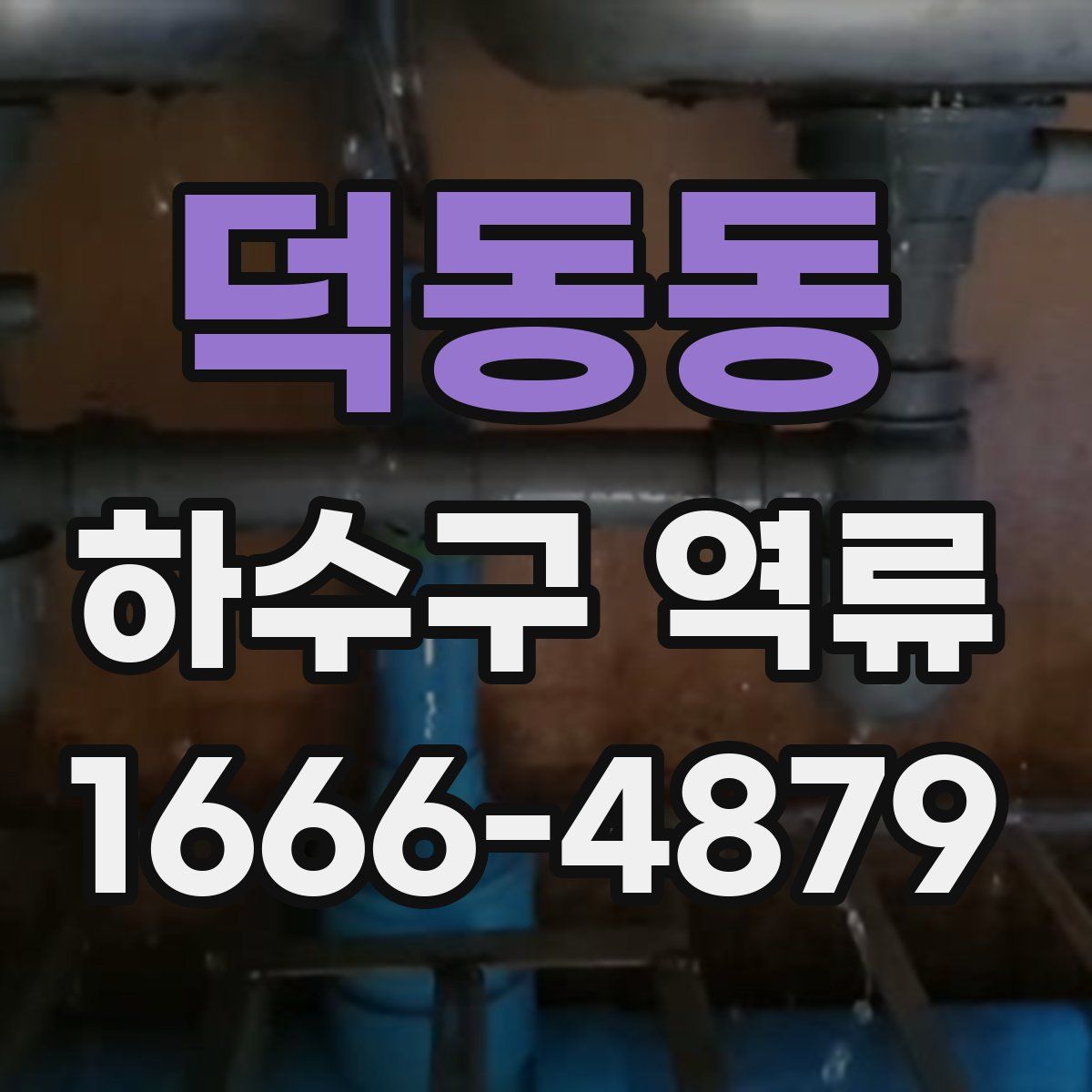 덕동동 하수구 역류