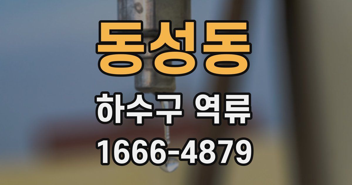 동성동 하수구 역류