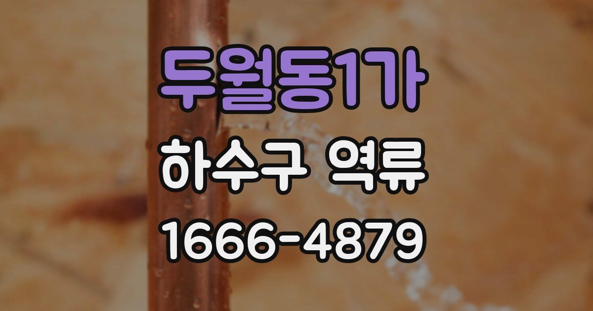 두월동1가 하수구 역류