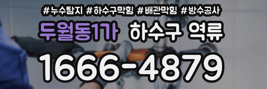 두월동1가 하수구 역류