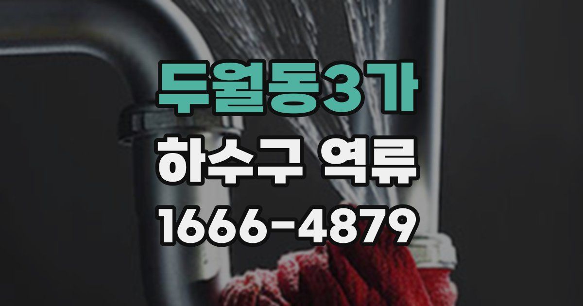 두월동3가 하수구 역류