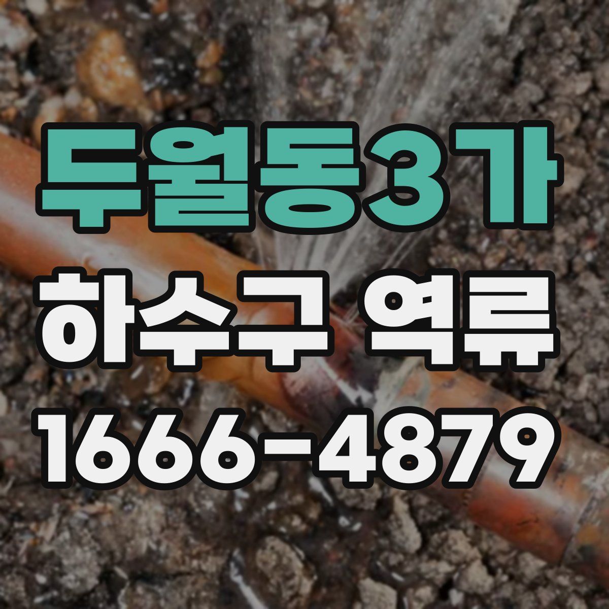 두월동3가 하수구 역류