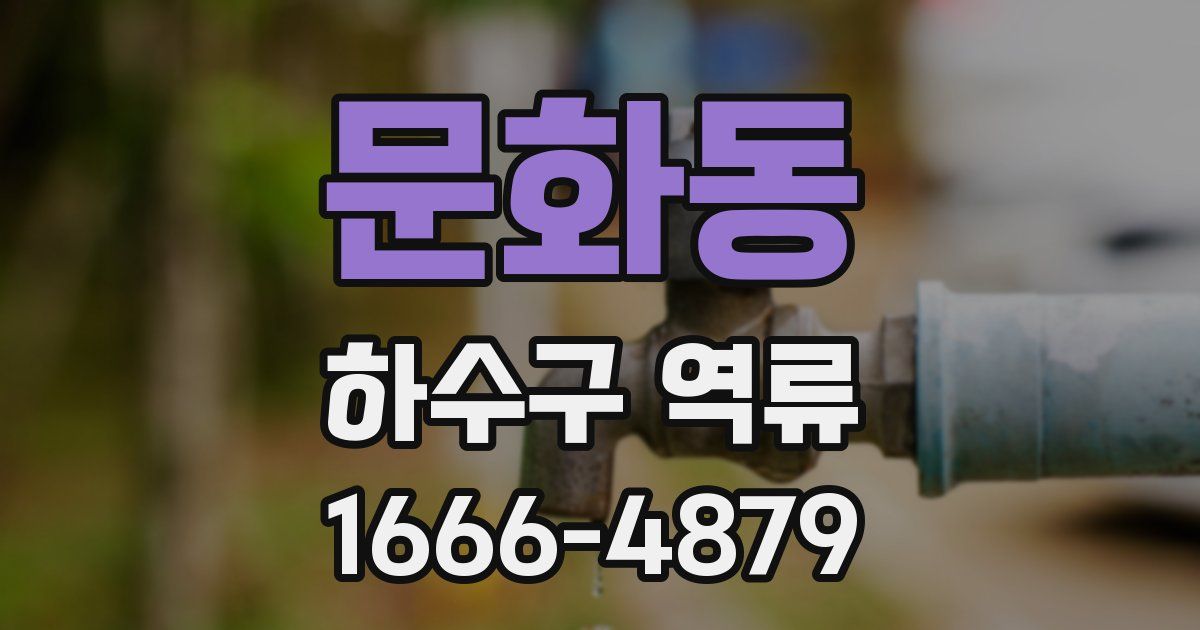 문화동 하수구 역류