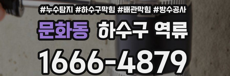 문화동 하수구 역류